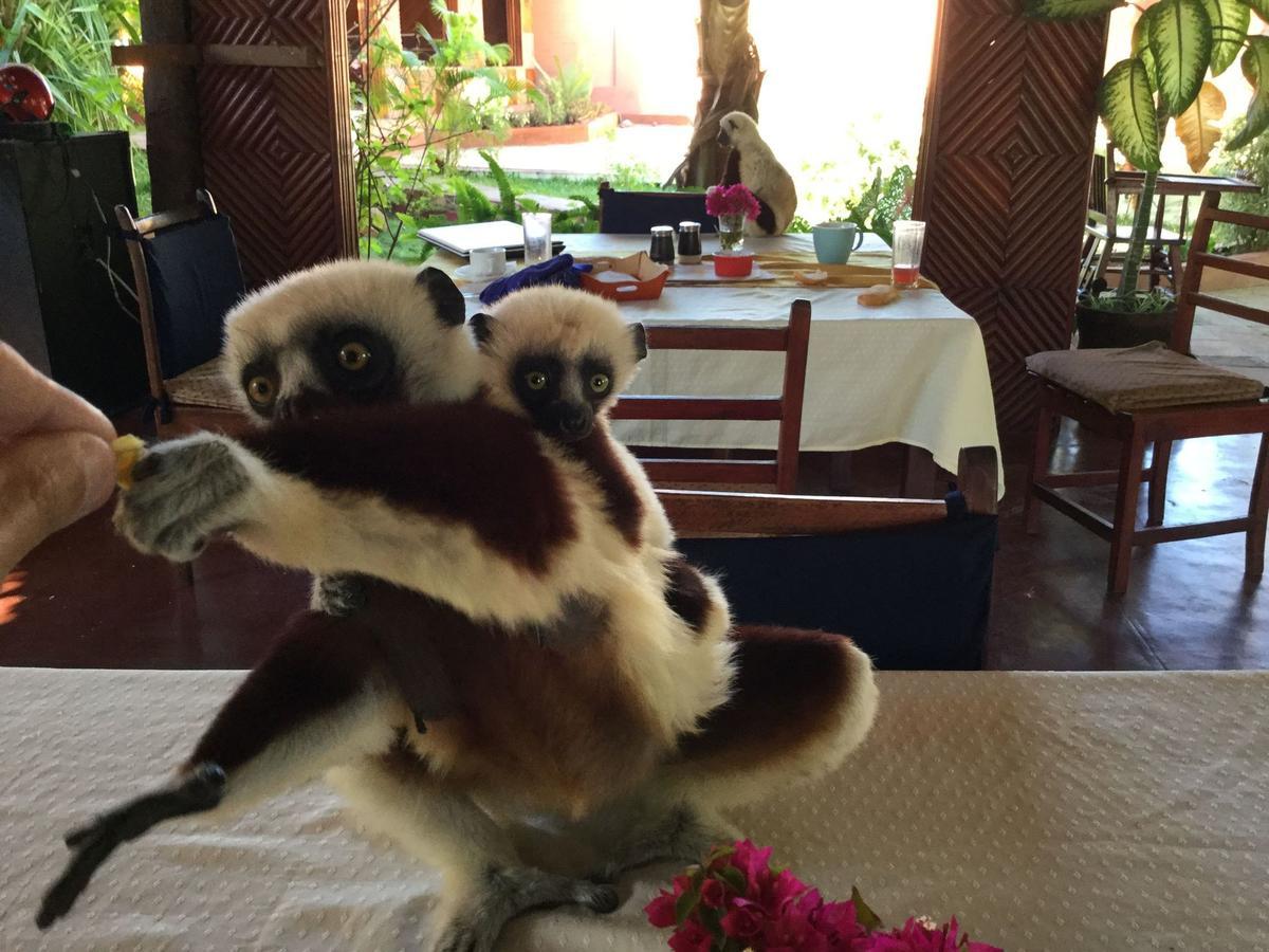 Edena Kely Hotel มาฮาจังกา ภายนอก รูปภาพ